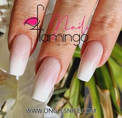 Flamingo nails by Vicky 06000 Nice